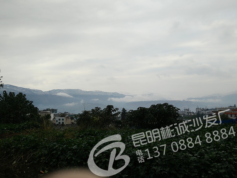 IMG20151216085825_.jpg