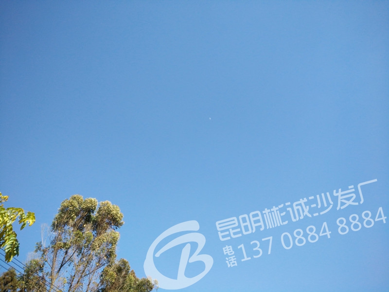 IMG20160104123627_.jpg